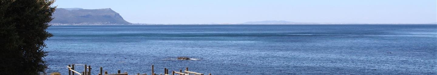 Miller Point Resort